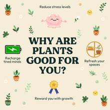 Load image into Gallery viewer, why are plants good for you?
