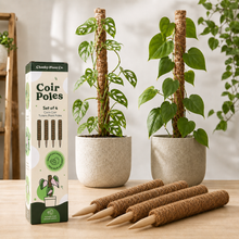 Load image into Gallery viewer, Coco Coir Totem Plant Poles (Pack of 4) - Cheeky Plant Co.
