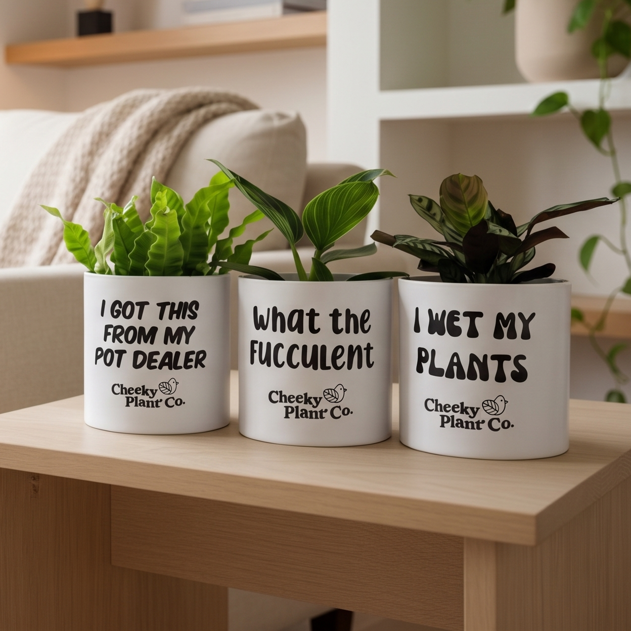 Trio Pack - Funny - Cheeky Plant Co. Pots - 12.5cmD x 12cmH