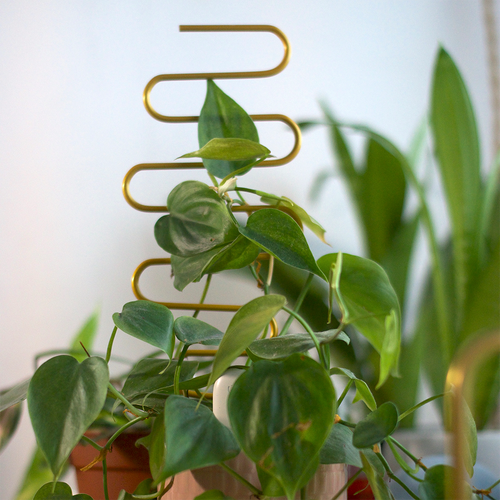 Gold Wavy Plant Trellis (10x34cmH)