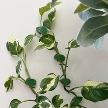 Load image into Gallery viewer, Essential Plant Tools Pack
