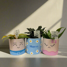 Load image into Gallery viewer, Plant Name Labels - &quot;Hello my name is ___ &quot;
