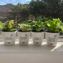 Load image into Gallery viewer, Positive Pots Four Pack - Cheeky Plant Co. Pots - 11cmD x 11cmH
