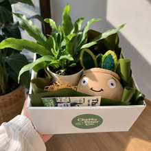 Load image into Gallery viewer, Potted Plant and Plant Plushie Gift - 120mm - Sydney Only
