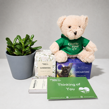 Load image into Gallery viewer, Thinking of You - Succulent Hamper / Succulent Gift Box
