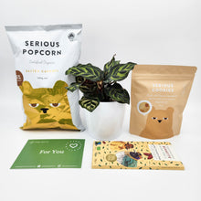 Load image into Gallery viewer, Pet Friendly Plant Gift Hamper - Sydney Only
