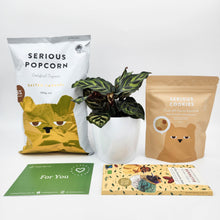 Load image into Gallery viewer, Pet Friendly Plant Gift Hamper - Sydney Only
