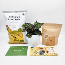 Load image into Gallery viewer, Pet Friendly Plant Gift Hamper - Sydney Only
