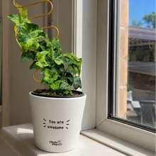 Load image into Gallery viewer, Support Your Plants - Trellis Bundle
