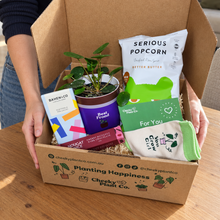 Load image into Gallery viewer, Best Frond Plant Gift Box
