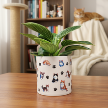 Load image into Gallery viewer, Philodendron Potted Houseplant - CHOOSE YOUR CHEEKY POT
