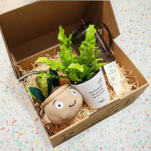 Load image into Gallery viewer, My First Plant Gift Box
