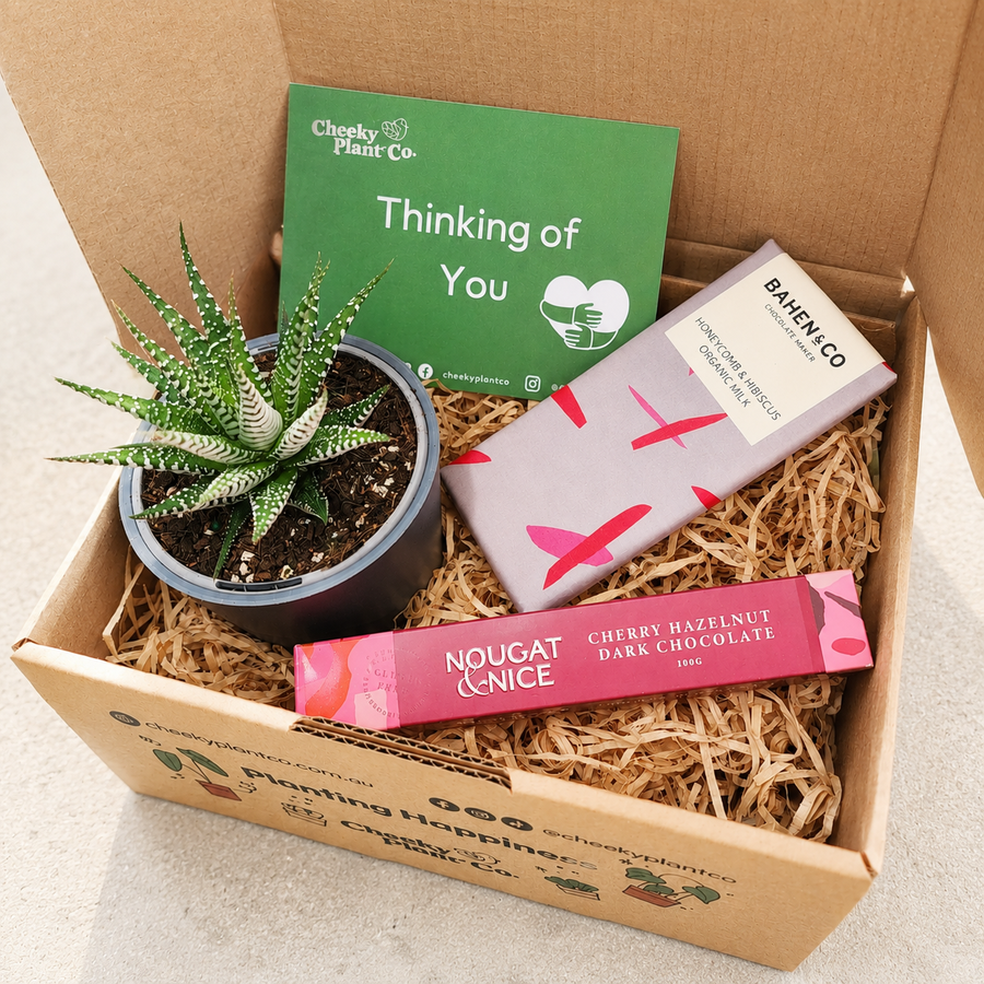 Comforting Condolence Gift Box