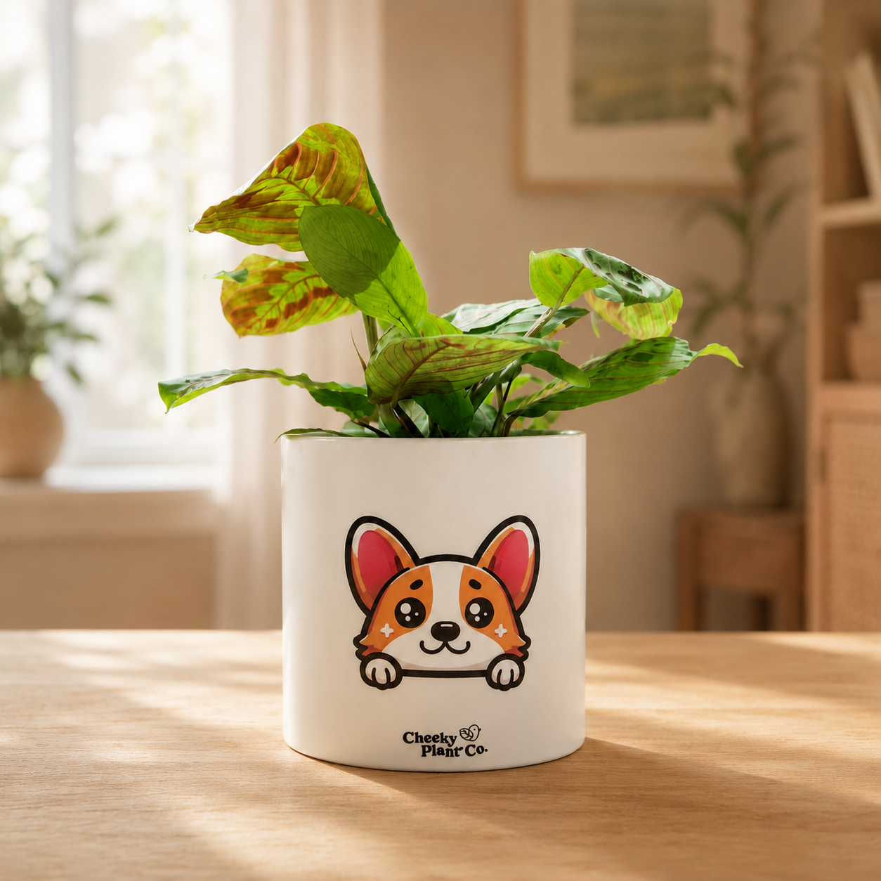 Corgi Dog - Cheeky Plant Co. Pot -12.5cmD x 12cmH