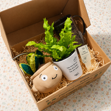 Load image into Gallery viewer, My First Plant Gift Box
