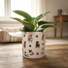 Load image into Gallery viewer, Philodendron Potted Houseplant - CHOOSE YOUR CHEEKY POT
