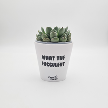 Load image into Gallery viewer, Sip &amp; Grow WTF - Plant Lover Bundle
