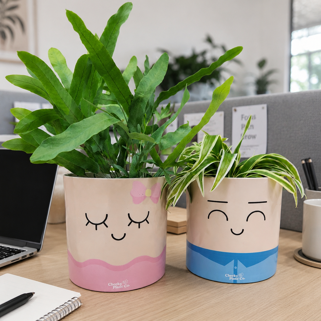Face Swapping Pots Pack - Moody Lovers - Cheeky Plant Co. Pots - 12.5cmD x 12cmH