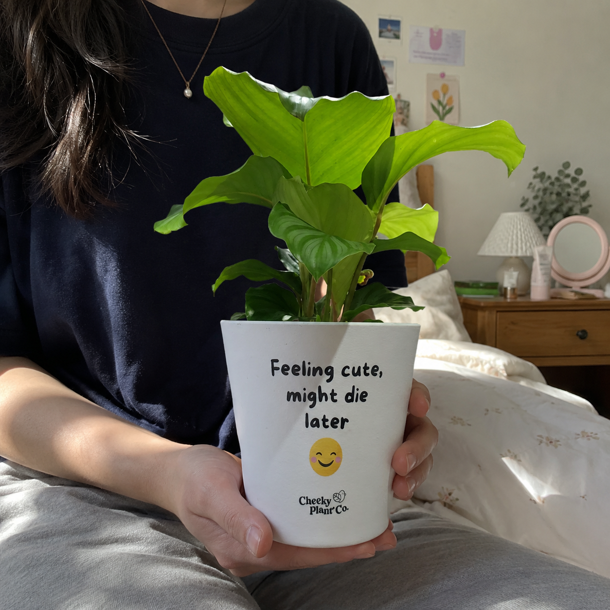Feeling Cute Might Die Later - Cheeky Plant Co. Pot - 13.5cmD x 11.5cmH