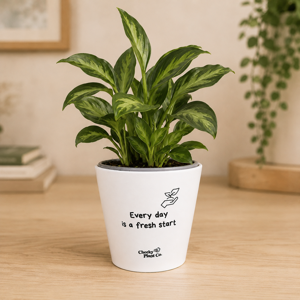 Fresh Start - Cheeky Plant Co. Positive Pot - 11cmD x 11cmH