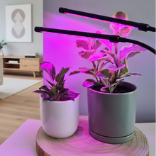 Load image into Gallery viewer, 2 Headed LED Indoor Plant Grow Lights - Red/Blue - Cheeky Plant Co.
