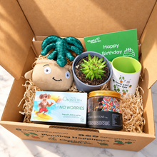 Load image into Gallery viewer, Happy Birthday - Succulent Gift Box
