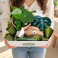 Load image into Gallery viewer, Happy Birthday Plant Hamper - Sydney Only
