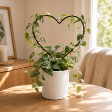 Load image into Gallery viewer, Black Iron Plant Trellis - Heart (24x34cmH)
