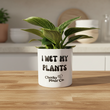 Load image into Gallery viewer, Philodendron Potted Houseplant - CHOOSE YOUR CHEEKY POT
