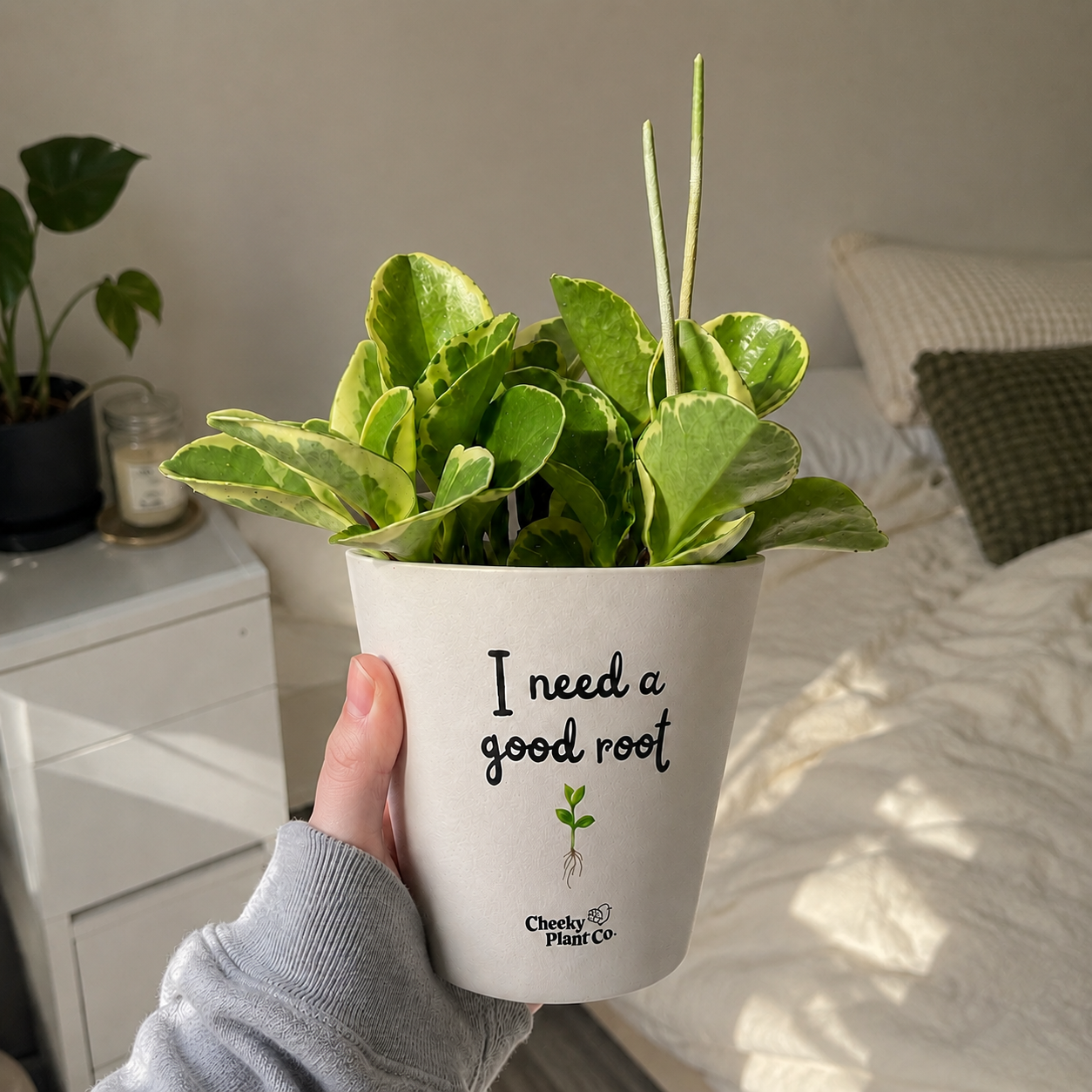I Need A Good Root - Cheeky Plant Co. Pot - 13.5cmD x 11.5cmH