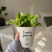 Load image into Gallery viewer, I Need A Good Root - Cheeky Plant Co. Pot - 13.5cmD x 11.5cmH

