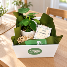 Load image into Gallery viewer, Loving Memory Condolences Gift - Plant &amp; Candle - Sydney Only
