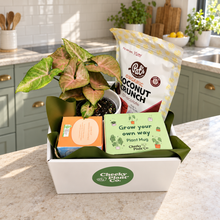 Load image into Gallery viewer, New Home - Plant Gift Hamper - Sydney Only
