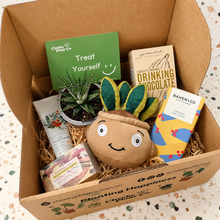 Load image into Gallery viewer, Pamper - Succulent Hamper / Succulent Gift Box
