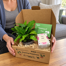 Load image into Gallery viewer, Peace Lily &amp; Candle Gift Box
