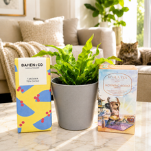 Load image into Gallery viewer, Pet Friendly Houseplant Gift Box
