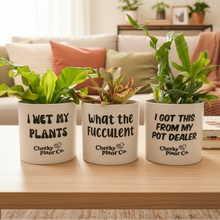 Load image into Gallery viewer, Trio Assorted Indoor Plants in Funny Pots (12.5cmD x 12cmH)
