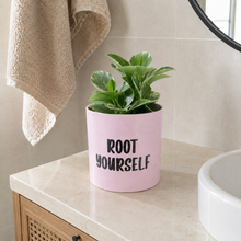 Load image into Gallery viewer, Root Yourself - Cheeky Plant Co. Pot - 12.5cmD x 12cmH
