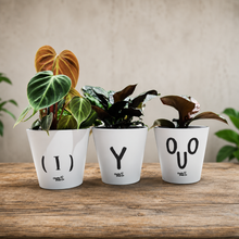 Load image into Gallery viewer, Oh Look At Me - Cheeky Plant Co. Rude Pot - 13.5cmD x 11.5cmH
