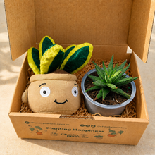 Load image into Gallery viewer, Plushie &amp; Succulent Gift Box
