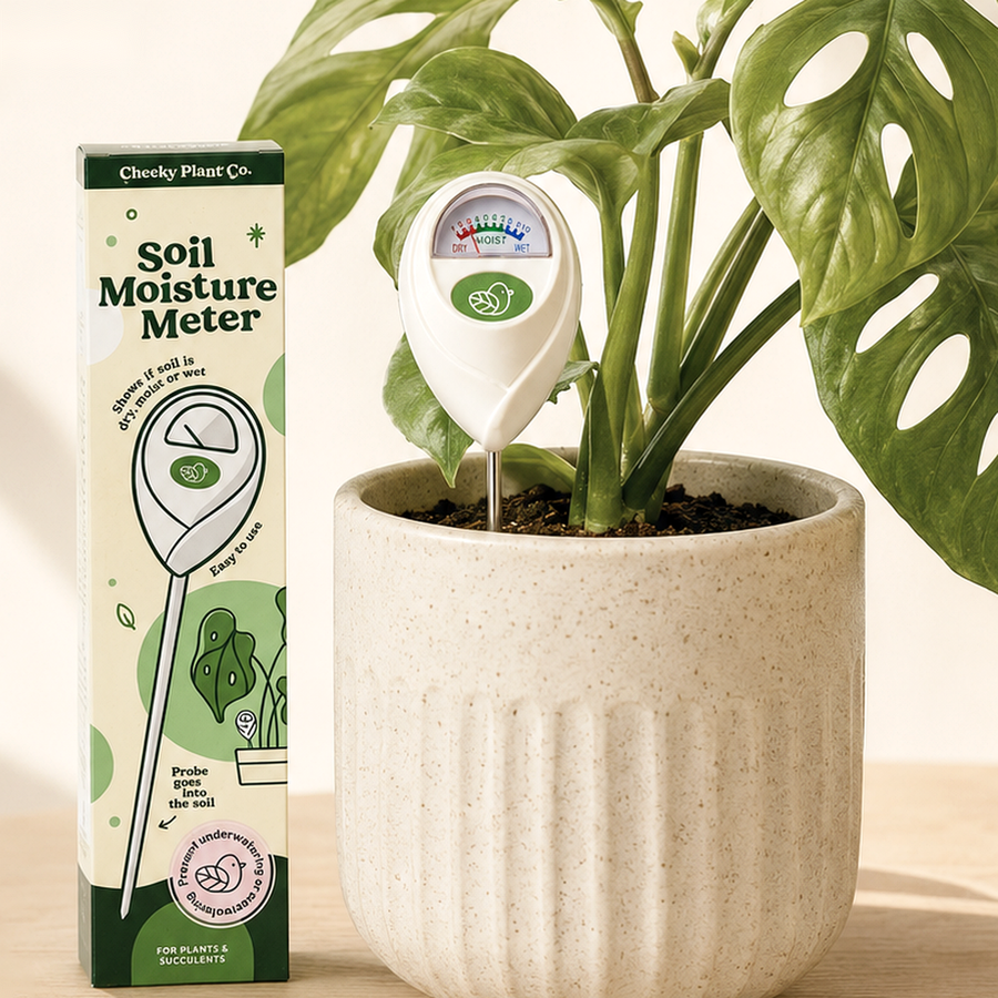 Soil Moisture Meter - Cheeky Plant Co.