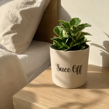 Load image into Gallery viewer, Succ Off - Cheeky Plant Co. Pot - 12.5cmD x 12cmH
