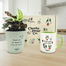 Load image into Gallery viewer, Thank you pot with gift set
