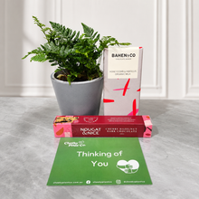 Load image into Gallery viewer, Thinking of You / Comforting Condolence Plant Gift Box
