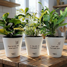 Load image into Gallery viewer, Trio Pack - Positive - Cheeky Plant Co. Pots - 11cmD x 11cmH
