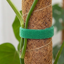 Load image into Gallery viewer, Velcro Plant Ties
