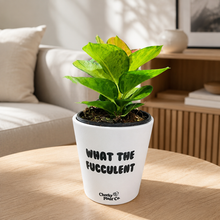Load image into Gallery viewer, Happy Houseplants  - Plant Lover Bundle
