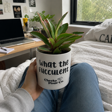 Load image into Gallery viewer, What the Fucculent - Cheeky Plant Co. Pot - 12.5cmD x 12cmH
